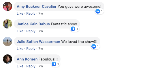 Facebook comments 1